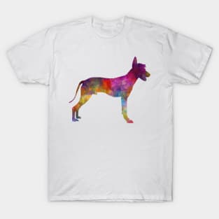 Peruvian Hairless Dog in watercolor T-Shirt